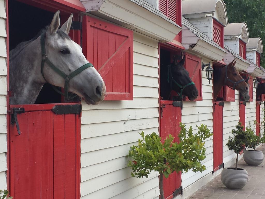 Hotel Boutique La Caballeriza 3*