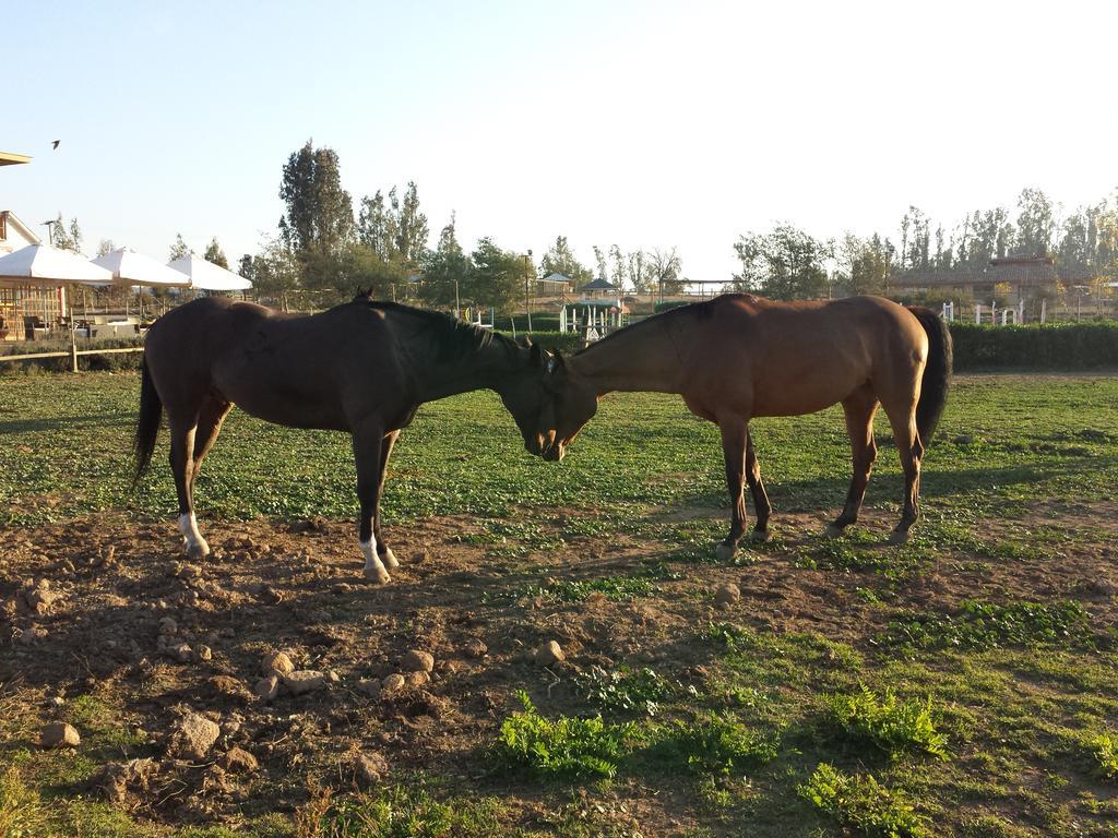 Boutique La Caballeriza 3*
