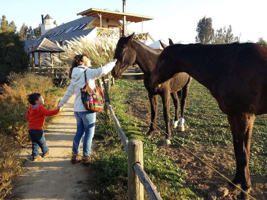 Boutique La Caballeriza